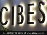 Custom Illuminated SS Signs for Business